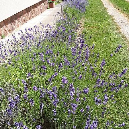 Kis Ház Apartman Zalacsány Esterno foto